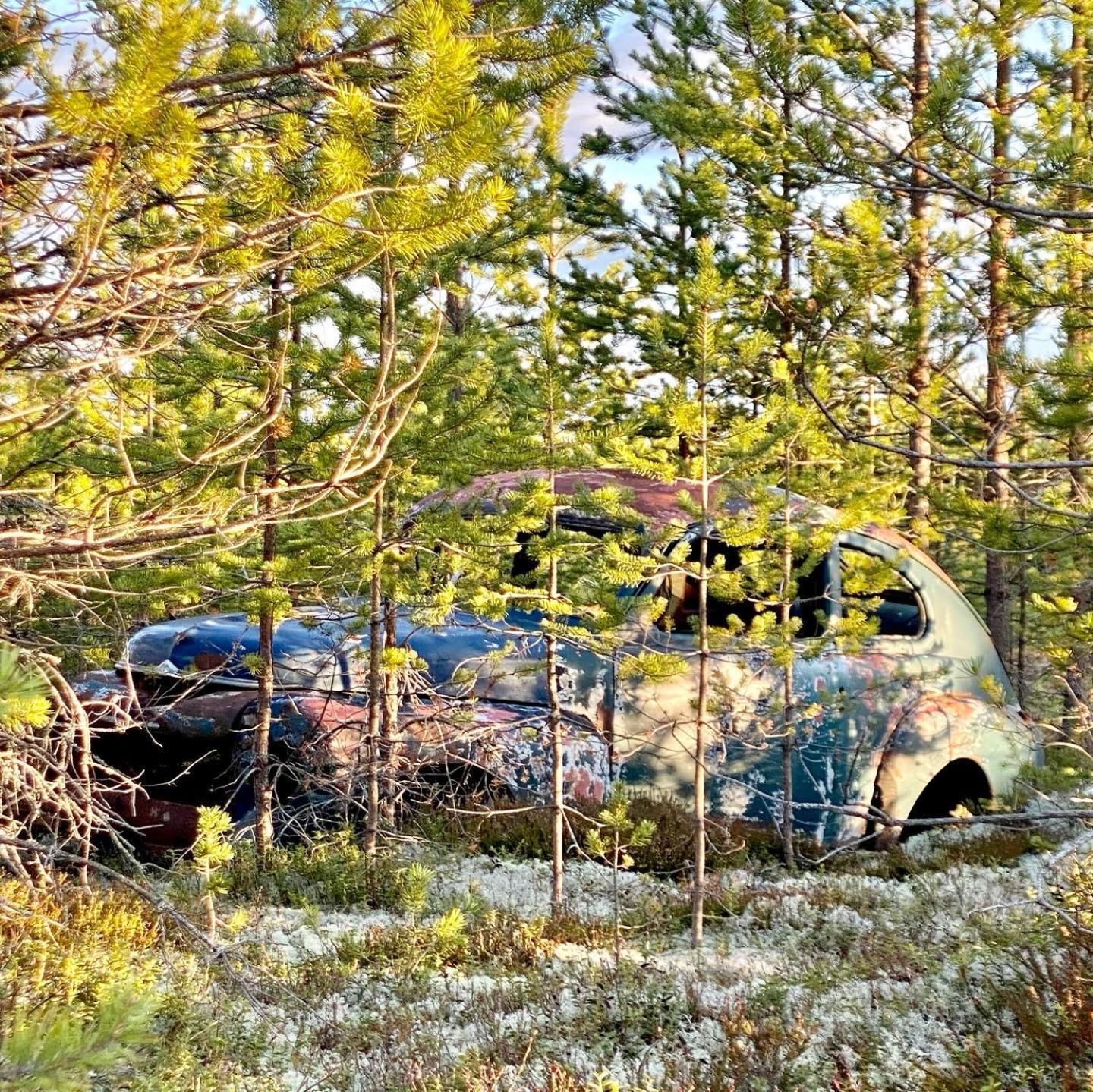 Offroadcamp Hotel Sörsjön Eksteriør billede